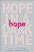 Hope in a Dark Time : Reflections on Humanity's Future cover