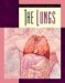 The Lungs cover