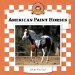 American Paint Horses cover