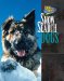 Snow Search Dogs cover