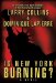 Is New York Burning cover
