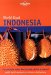 Lonely Planet World Food : Indonesia cover