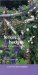 Fences and Hedges : And Other Garden Dividers cover