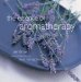 The Essence of Aromatherapy cover