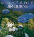 Lightship cover