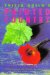 Tricia Guild's Painted Country cover