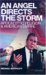 An Angel Directs The Storm : Apocalyptic Religion And American Empire cover