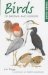 Green Guide Birds of Britian and Europe cover