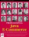 Professional Java E-Commerce cover