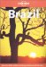 Lonely Planet Brazil cover