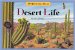 One Hundred One Questions About Desert Life cover