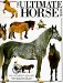 Ultimate Horse cover