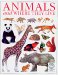 Animals and Where They Live cover