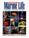 Guide to Marine Life of the Caribbean, Bahamas and Florida : Caribbean, Bahamas, Florida cover