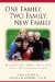 One Family, Two Family, New Family : Stories And Advice For Stepfamilies cover