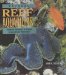 Natural Reef Aquariums : Simplified Approaches to Creating Living Saltwater Microcosms cover