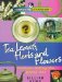Tea Leaves, Herbs, and Flowers : Fortune Telling the Gypsy Way! cover
