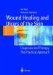 Wound Healing And Ulcers Of The Skin : Diagnosis And Therapy - The Practical Approach cover