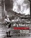 Brandstatten : Der Anblick Des Bombenkriegs cover