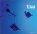 Triad Berlin : Culture Media Environment cover