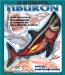 Al descubierto el tiburon / Uncover A Shark : Echa Un Vistazo Tridemensional al Interior Del Gran Tiburon Blanco! cover