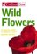 Wild Flowers cover