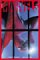 Marvels cover