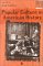 Popular Culture in American History cover