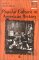 Popular Culture in American History cover