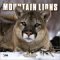 Mountain Lions 2004 Calendar cover