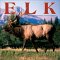 Elk 2003 Calendar cover