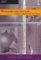 Managers and the Law : A Guide for Business Decision Makers cover