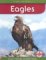 Eagles cover
