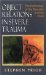 Object Relations in Severe Trauma : Psychotherapy of the Sexually Abused Child cover
