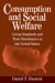 Consumption And Social Welfare : Living Standards And Their Distribution in the United States cover