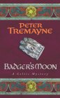 Badger's Moon : A Mystery of Ancient Ireland [Click for larger image]
