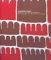 Tradition Today : Indigenous Art in Australia cover
