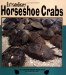Extraordinary Horseshoe Crabs cover