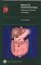 Manual of Gastroenterology : Diagnosis and Therapy cover