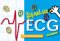 Flip and See Ecg cover