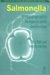 Salmonella : A Practical Approach to the Organism and Its Control in Foods cover