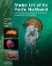 Marine Life of the Pacific Northwest : A Photographic Encyclopedia of Invertibrates, Seaweeds And Selected Fishes cover