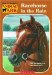 Racehorse in the Rain cover