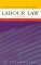 Labour Law : An Introduction cover