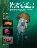 Marine Life of the Pacific Northwest : A Photographic Encyclopedia of Invertibrates, Seaweeds And Selected Fishes [Click for larger image]