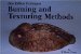 Burning and Texturing Methods cover