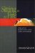Sitting in the Fire : Large Group Transformation Using Conflict and Diversity cover