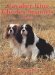 Cavalier King Charles Spaniels Today cover