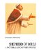 Shepherd of Souls : A Pictorial Life of Pope Pius XII cover