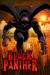 Black Panther : Who Is the Black Panther cover